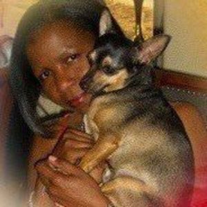 Meet your Posher, Phoebe